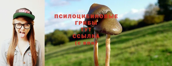 мескалин Нефтегорск