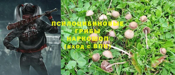мескалин Нефтегорск