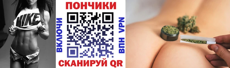 Конопля план  Купить закладки  Сарапул 